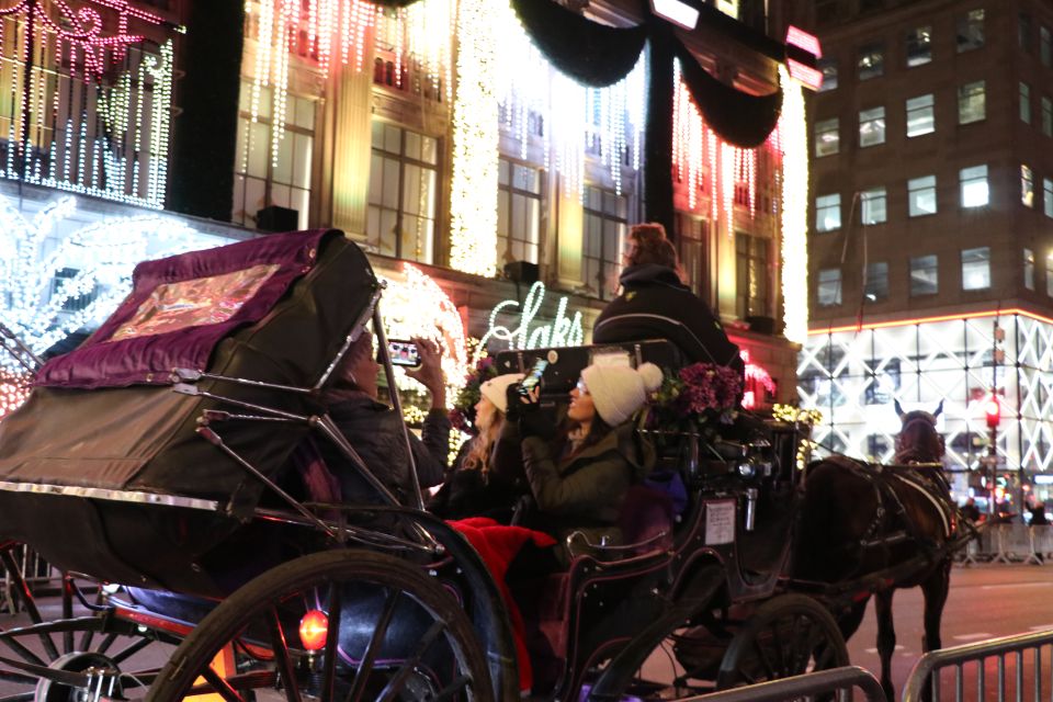 NYC: Magical Christmas Lights Carriage Ride (Up to 4 Adults) - Cancellation and Payment Policies