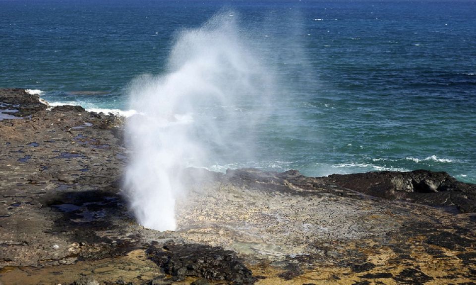 Oahu: 16-Point Guided Circle Tour With Snorkeling and Dole - Accessibility and Children