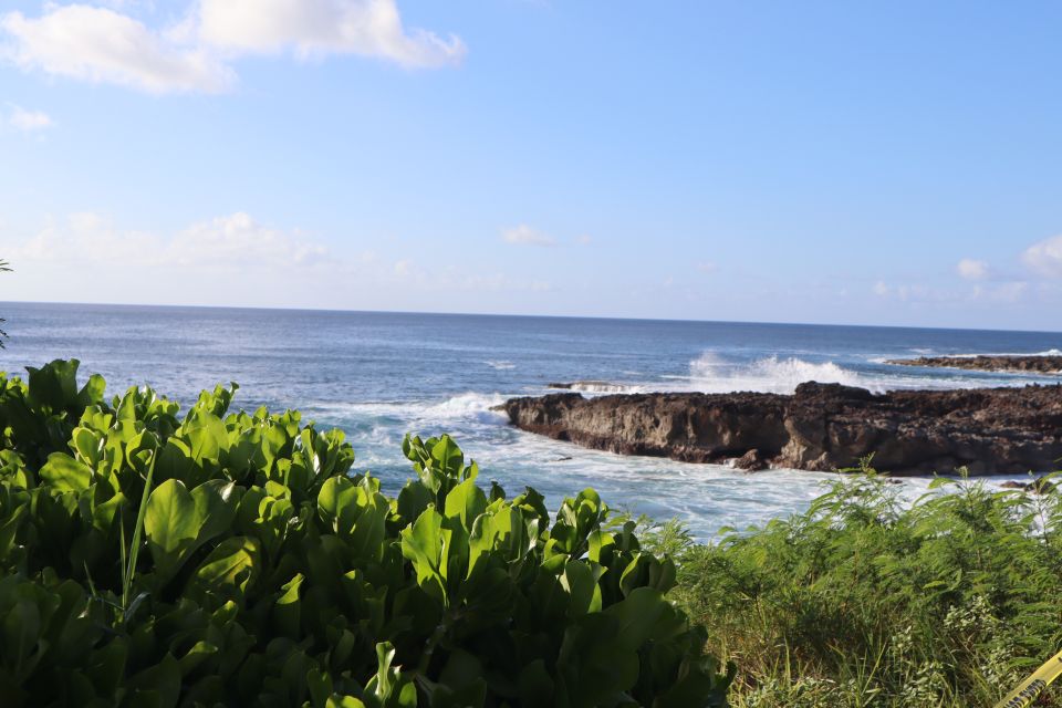 Oahu: Active Circle Island Tour - Tour Experience Details