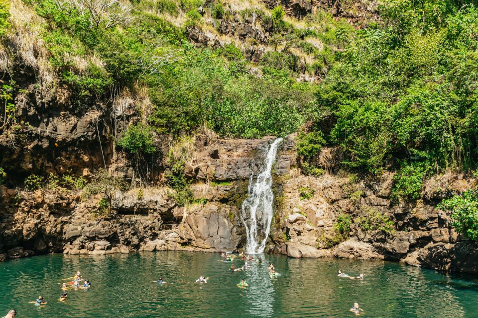 Oahu: Circle Island Tour With Lunch & Waimea Waterfall - Discovering Dole Pineapple Plantation