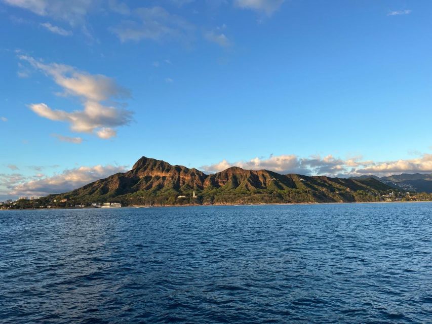 Oahu: Private Catamaran Sunset Cruise & Optional Snorkeling - Potential Wildlife Sightings