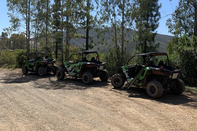 Off-Road Sierra De Mijas Buggy Tour 2h - Customer Reviews