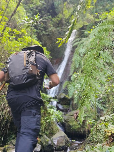 Off the Beaten Path,Levada Do Seixal, Madeira Island - Required Fitness and Agility