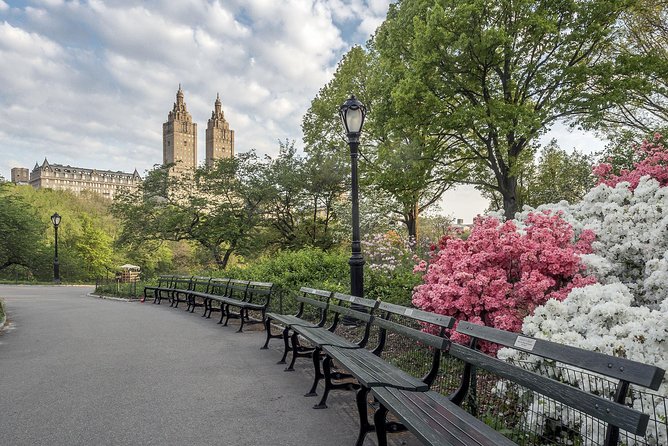 Official NYC Horse Carriage Rides in Central Park Since 1979 ™ - Historical Context of the Attraction