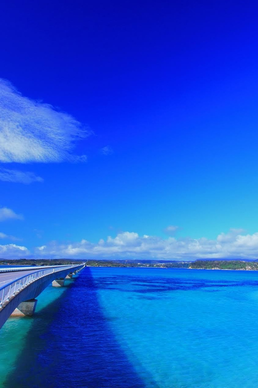 Okinawa: Bus Tour to Churaumi Aquarium With Sightseeing - Churaumi Aquarium: Okinawas Marine Wonder