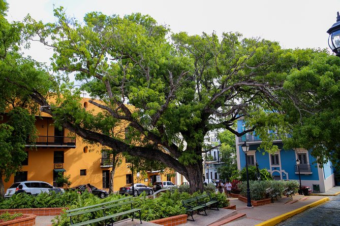 Old San Juan - Loiza African Town Full-Day Tour: 8+ People Group - Meeting and Pickup Details