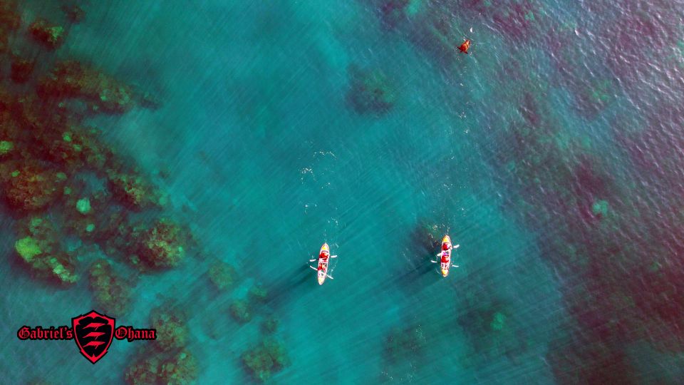 Olowalu: Guided Tour Over Reefs in Transparent Kayak - Reviewer Ratings