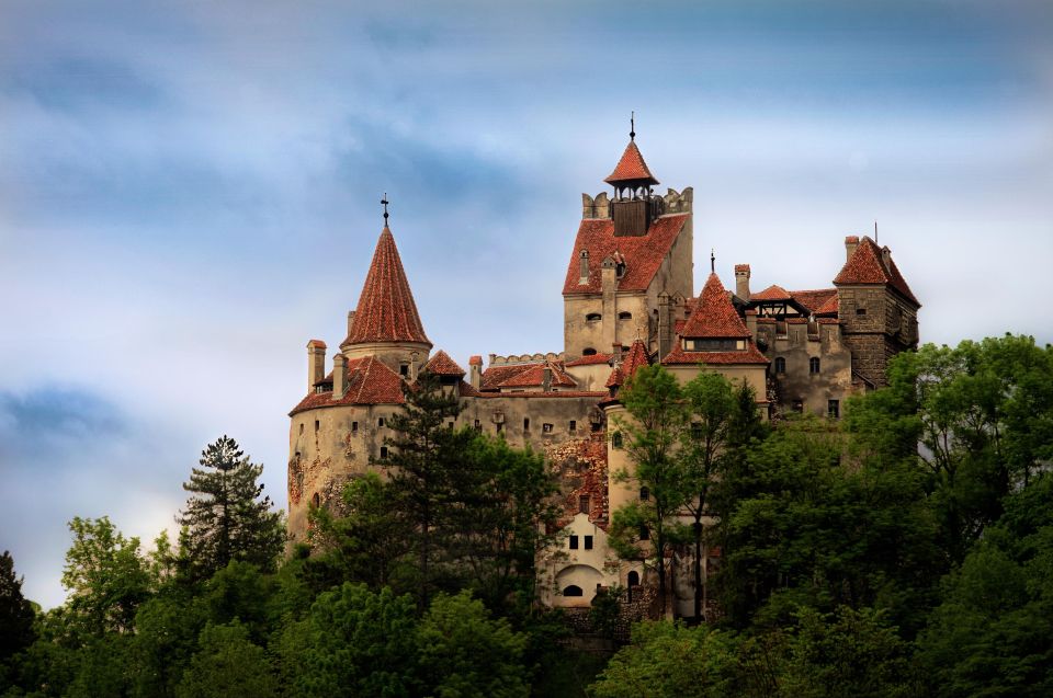 One Day Trip Bear Sanctuary, Dracula Castle - Customer Experience