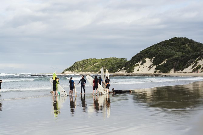 One-Way Hop-On Hop-Off Bus From Port Elizabeth to Cape Town - Traveler Capacity and Accessibility