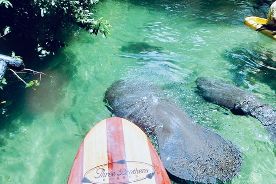 Orange City: Blue Spring State Park SUP & Kayaking Tour - Customer Feedback