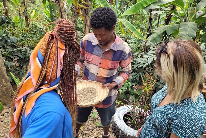 Organic Coffee Tour and Local Food Experience in Arusha - Tour Options and Pricing