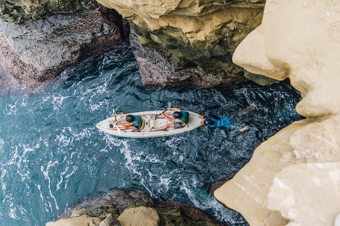 Original La Jolla Sea Cave Kayak Tour for Two - Customer Feedback