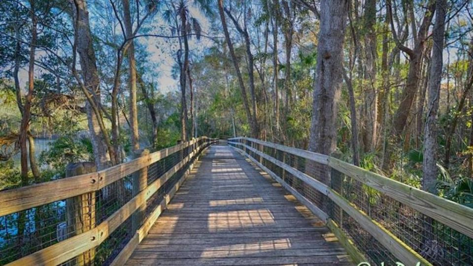 Orlando: Swim With Manatees and Homosassa State Park Visit - Important Information