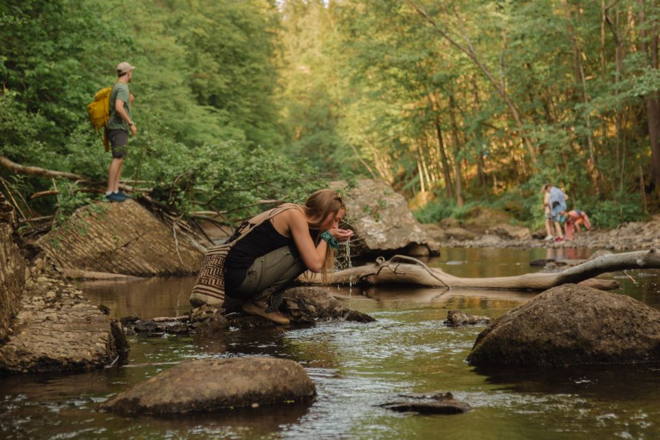 Oslo: Lysaker Wild River Walk - Birdsong and Nature Sounds