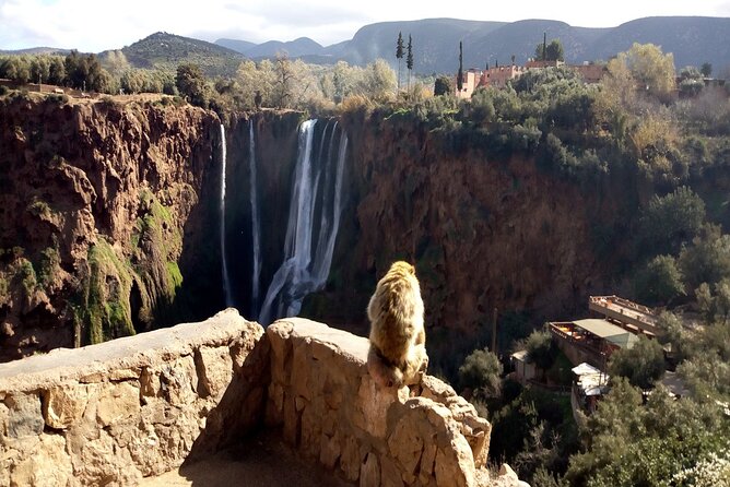 Ouzoud Waterfalls Full Day Trip From Marrakech - Cancellation Policy