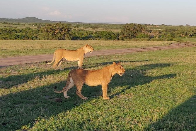 Overnight Amboseli National Park Safari From Nairobi - Additional Tour Information