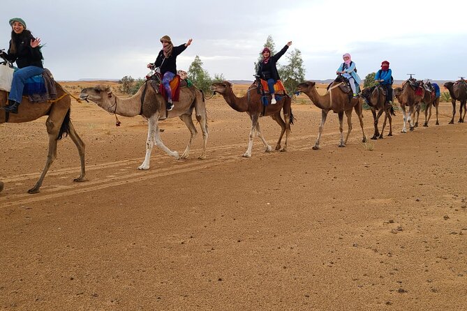 Overnight Camel Trek in Merzouga Dunes - Berber Music and Culture