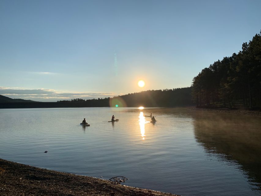 Pactola Lake: Private Kayak or Paddleboard Experience - Regional Flora and Wildlife