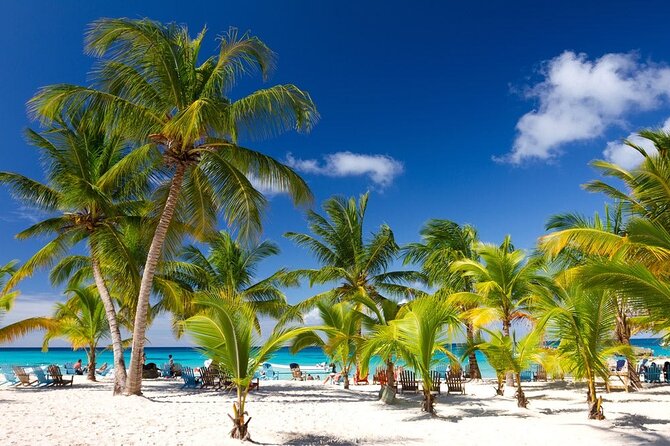 Palladium Punta Cana - Round Trip Shuttle - Punta Cana Airport - Cancellation Policy