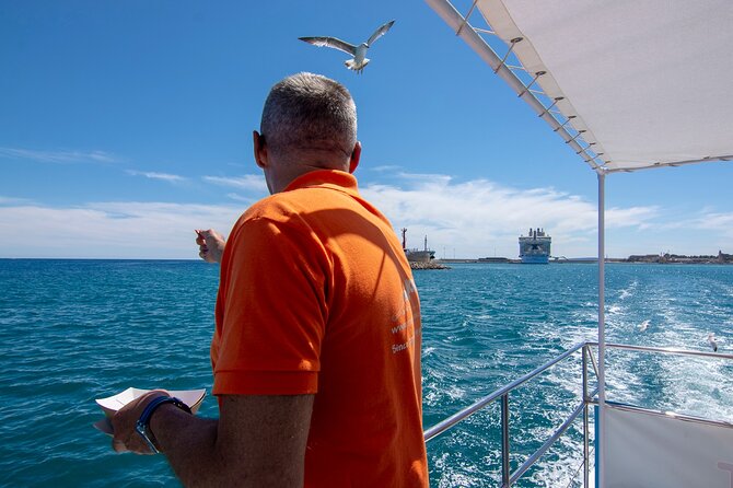 Palma De Mallorca Bay Boat Trip - Diverse Port Activity