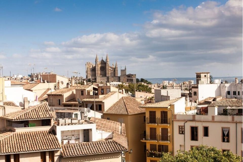 Palma De Mallorca: Private Custom Tour With a Local Guide - Palma De Mallorca