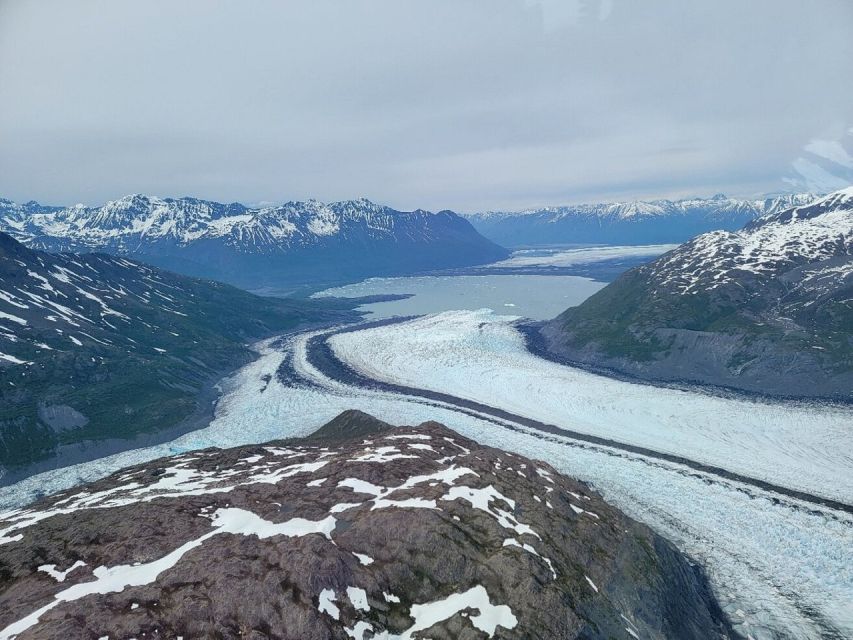 Palmer: Dogs and Glaciers Sledding and Helicopter Tour - Racing Dogs Experience