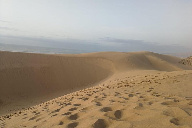 Paradise Valley and Desert Dunes Trip From Agadir & Taghazout - Tour Ratings and Reviews