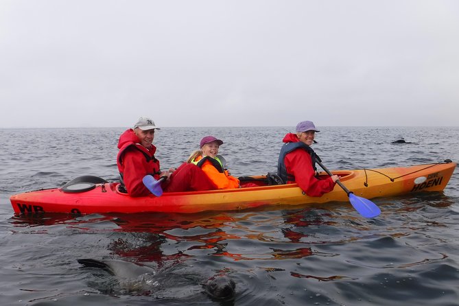 Pelican Point Kayaking Half-Day Tour - Frequently Asked Questions