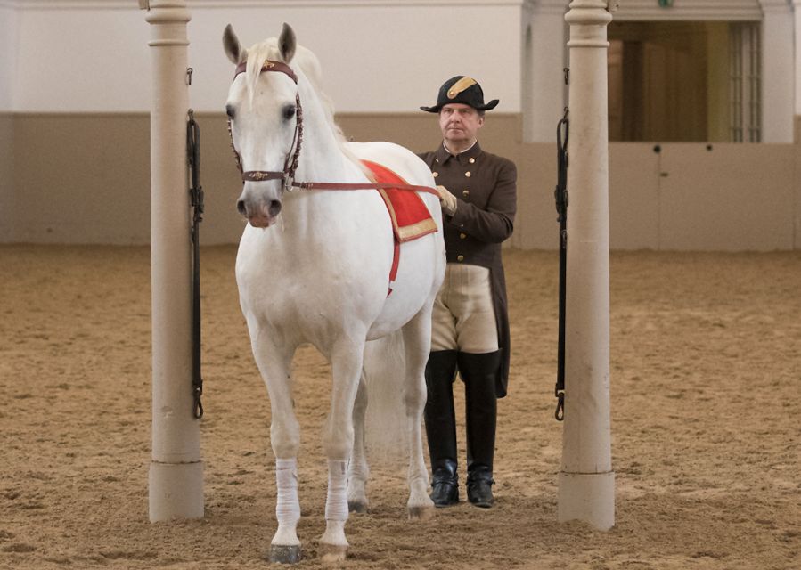 Performance Of The Lipizzans At Spanish Riding School - UNESCO Cultural Heritage Listing