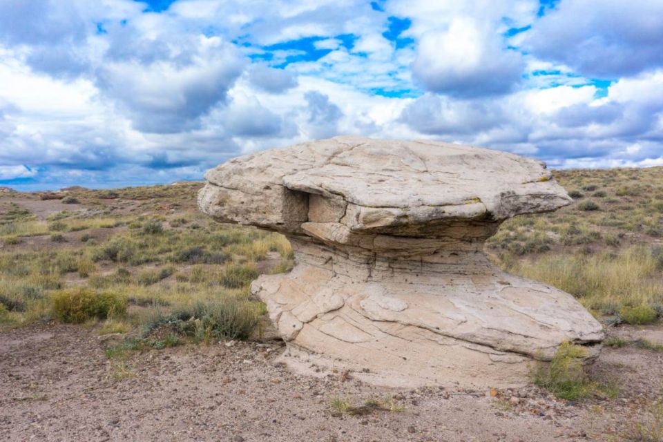 Petrified Forest National Park Self-Guided Audio Tour - Smartphone and App Requirements