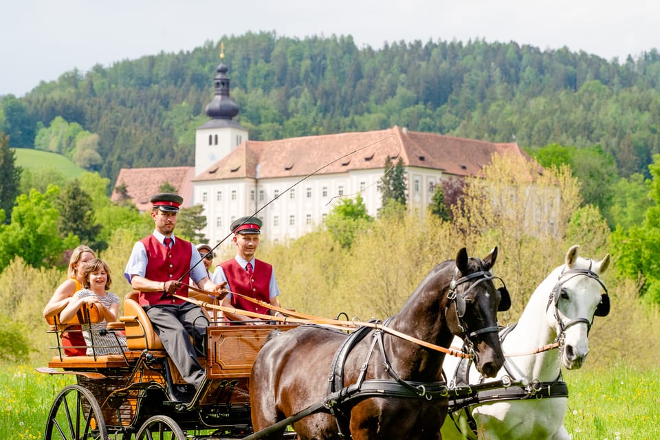 Piber: Lipizzan Stud Guided Tour - Horse Training Demonstrations