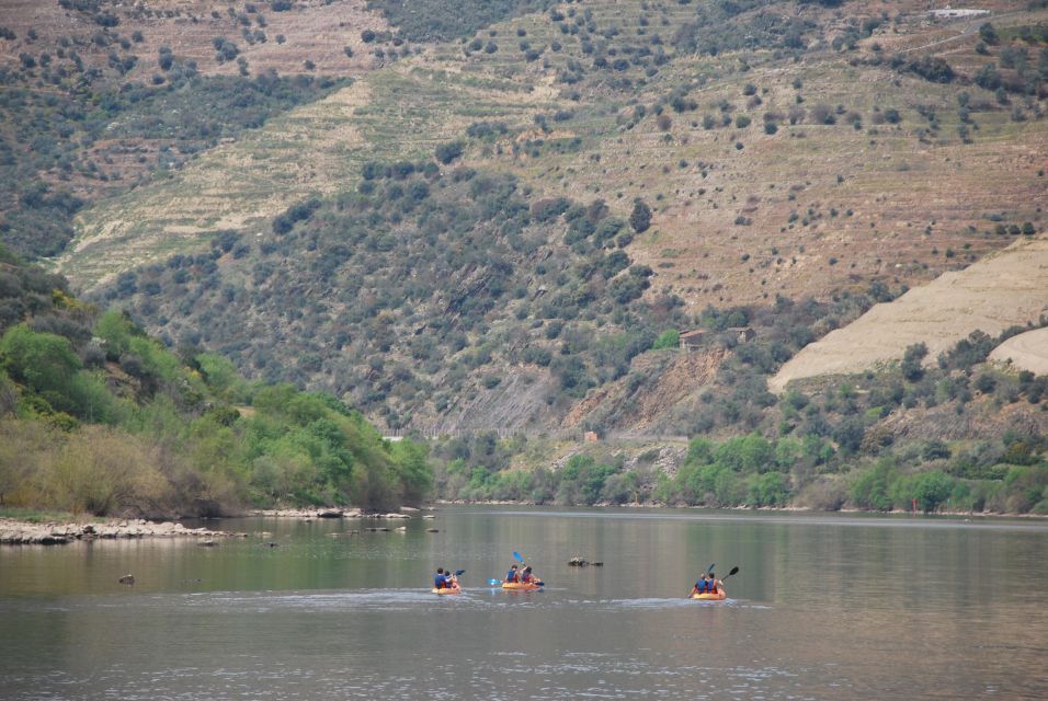 Pinhão: 4 Hour Douro Valley Kayak Rental - Frequently Asked Questions