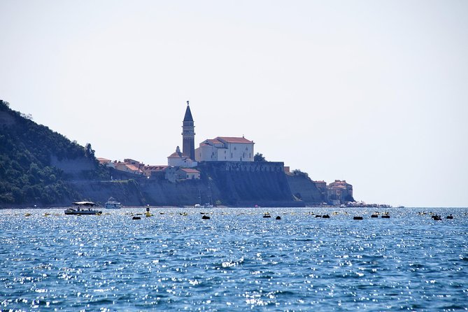 Piran and Portoroz Pearls of the Slovenian Adriatic Coast Half Day Trip From Ljubljana - Visiting the Port of Portoroz