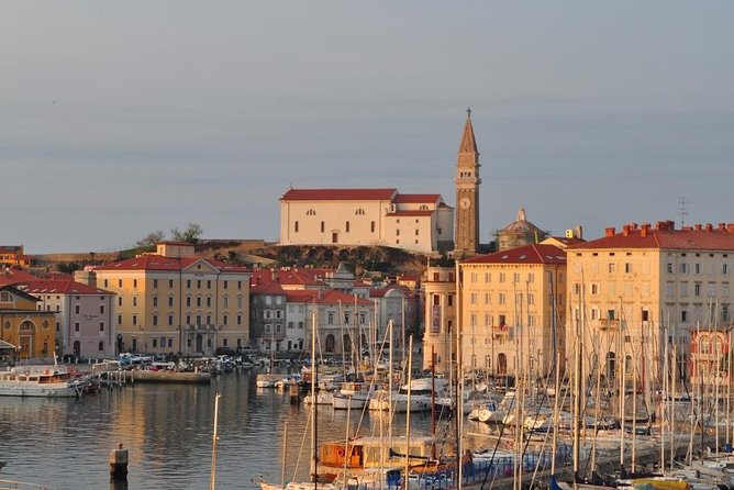 Piran and Scenic Slovenian Coast-Private Experience From Koper - Experience Highlights