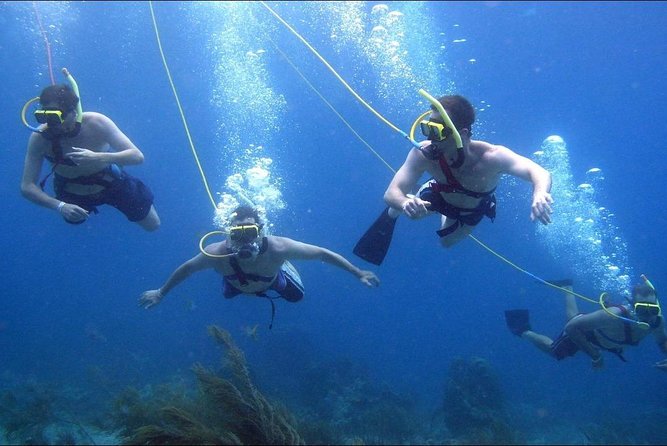 Platinum Power Shore Adventure, Hookah Diving, and Snorkeling - Hookah Diving Opportunity