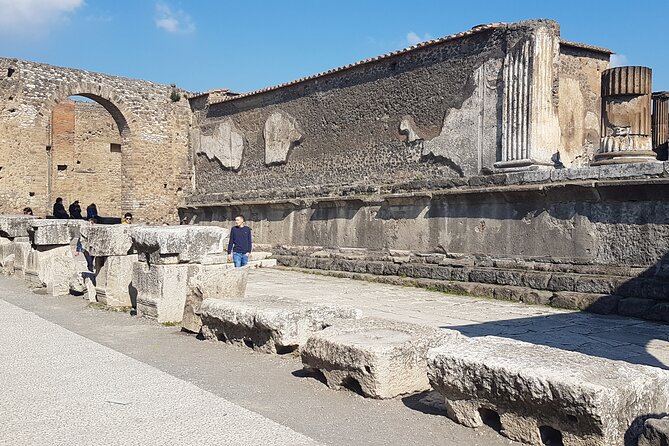 Pompeii Tour With Experienced Guide - Accessibility and Transportation