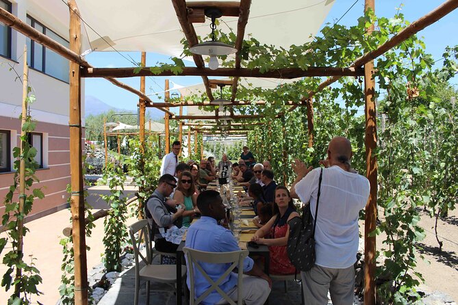 Pompeii Wine Tasting Tour From Positano - Wine Tasting and Lunch