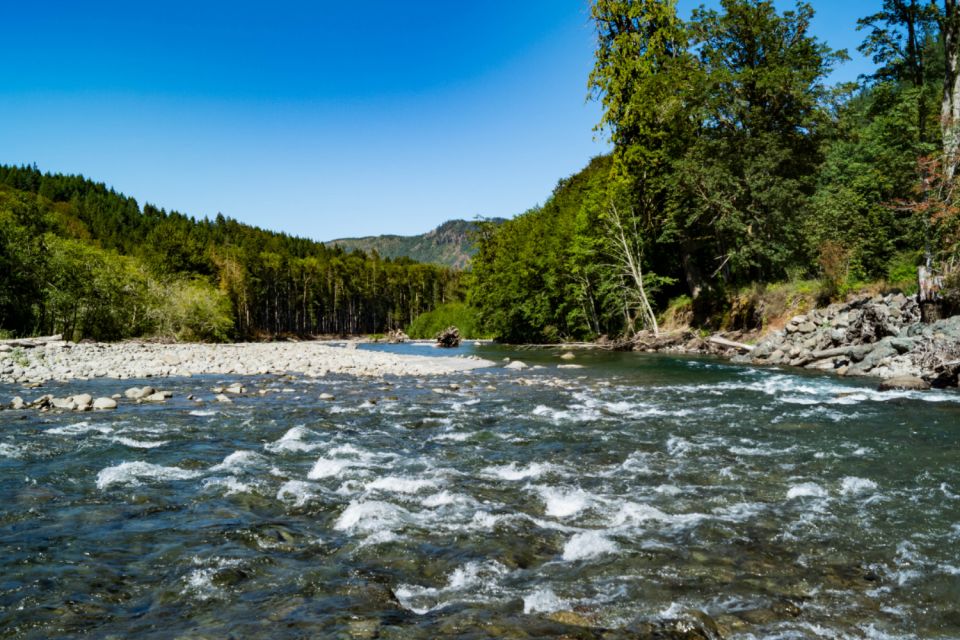 Port Angeles: Olympic National Park Driving Audio Tour - Customer Feedback and Ratings