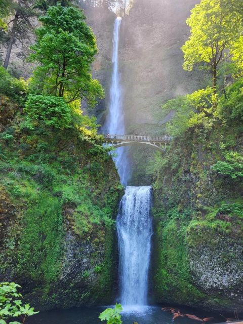 Portland City + Waterfall Combo: a Full Day of Sightseeing - Lunch Break in Downtown Portland