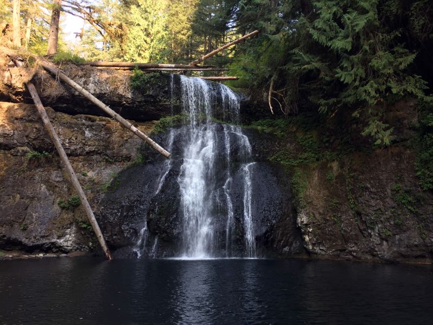 Portland: Silver Falls Hike - Navigating the Moderate Hike