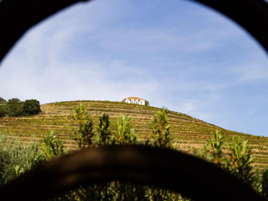 Porto: Douro Valley Authentic Wine Experience With Lunch - Winery Visit Availability