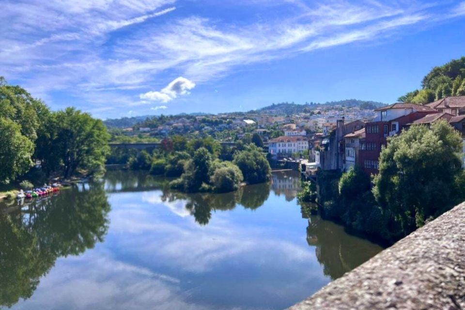 Porto: Douro Valley Guided Tour, 3 Tastings, Lunch & Cruise - Olive Oil Museum Tasting Experience