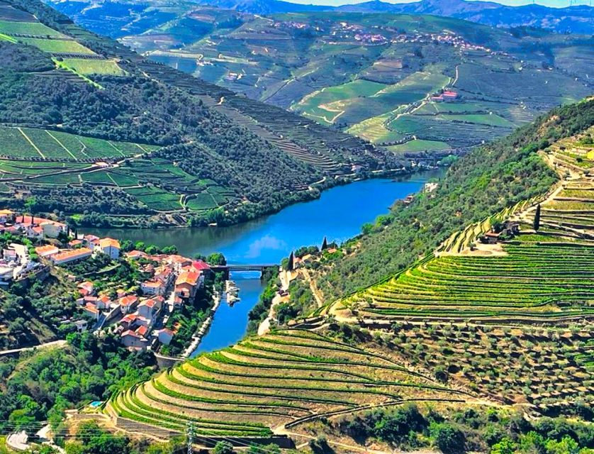 Porto: Douro Valley Tour With 3 Wineries & Lunch - Language Options