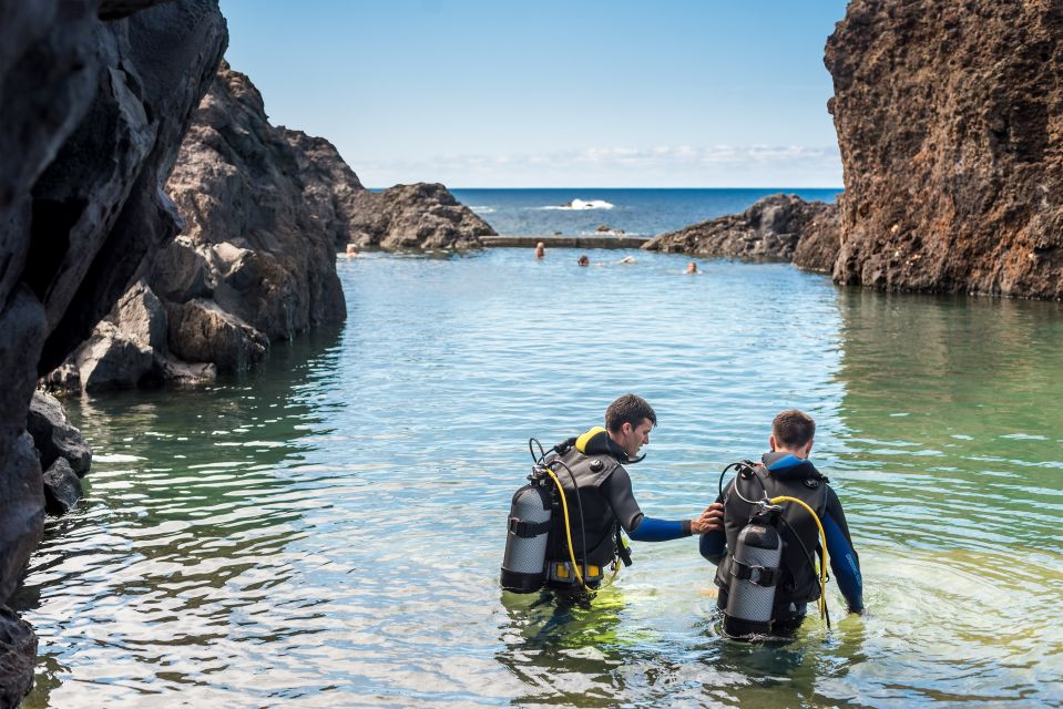 Porto Moniz: Diving With Sharks and Rays in Madeira Aquarium - Booking and Payment