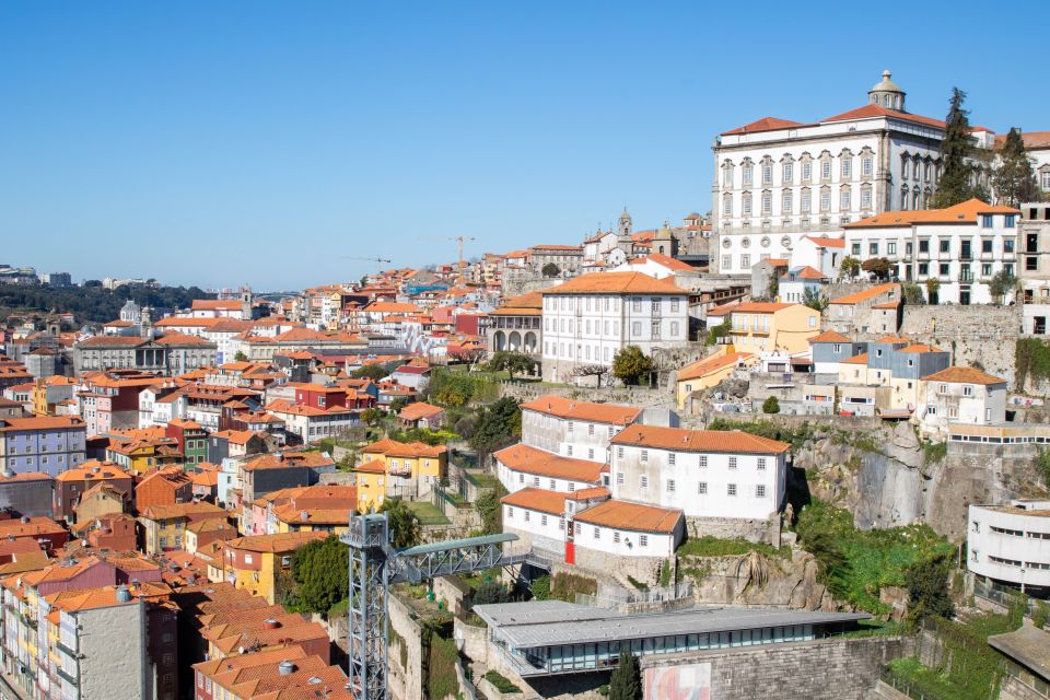 Porto: Self-Guided Treasure Hunt Tour - Customer Reviews