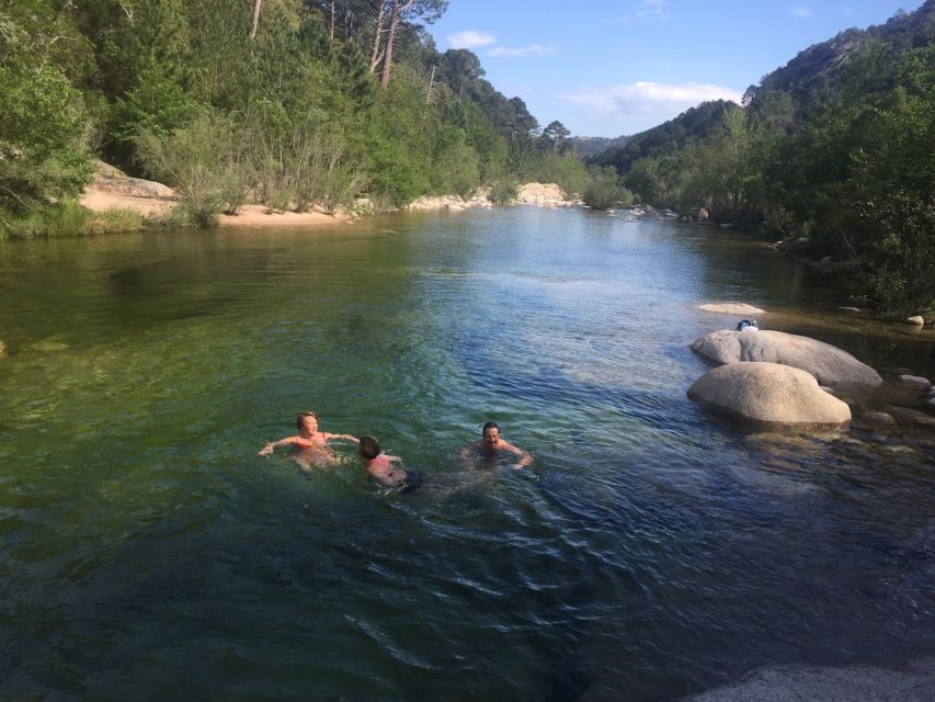 Porto Vecchio: Cuscionu Plateau & Alta Rocca 4x4 Tour - Encountering Corsican Flora and Fauna