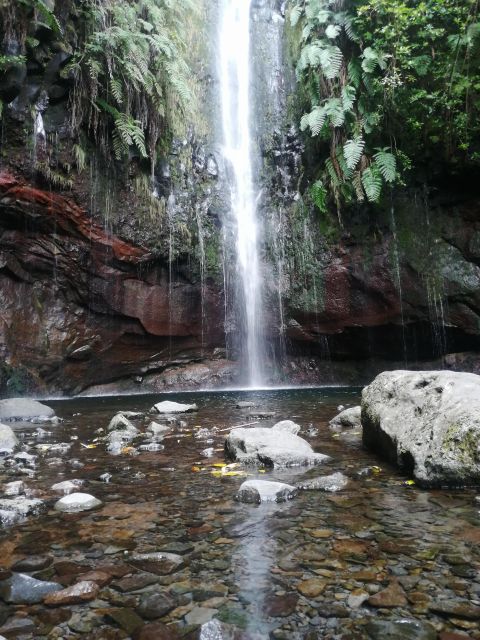 Private - 25 Fontes and Risco Waterfall Guided Tour - Visiting Risco Waterfall