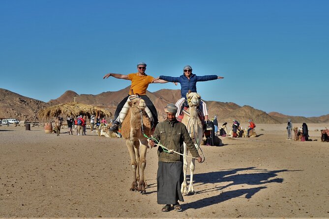 Private ATV Quad 4 Hours Safari Trip With Camel Ride in Hurghada - Guest Feedback