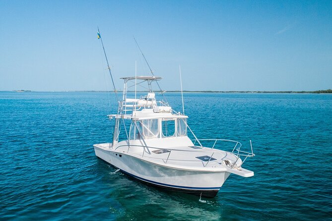 Private Bahamas Half-Day Fishing Tour From New Providence - Included Amenities