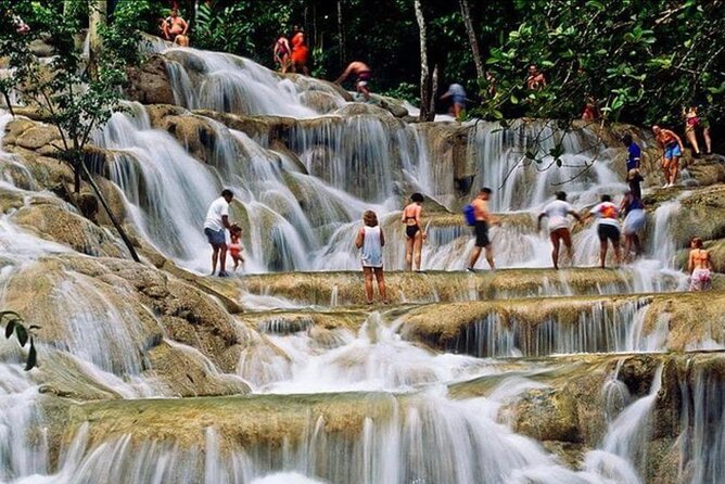 Private Bob Marley 9 Mile & Dunnsriverfalls Tour From Montego Bay - Itinerary and Duration